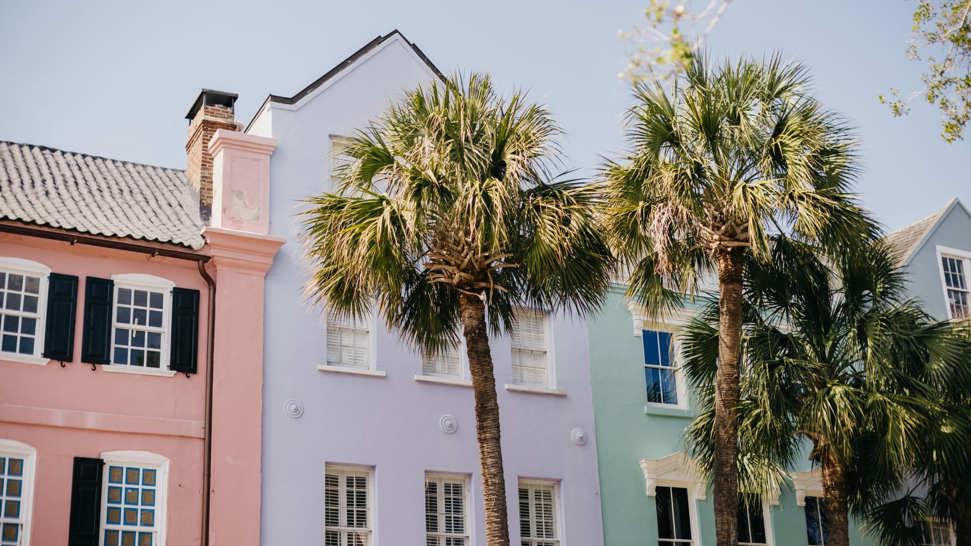 Pastel-painted historic townhouses with dark shutters behind a row of palm trees