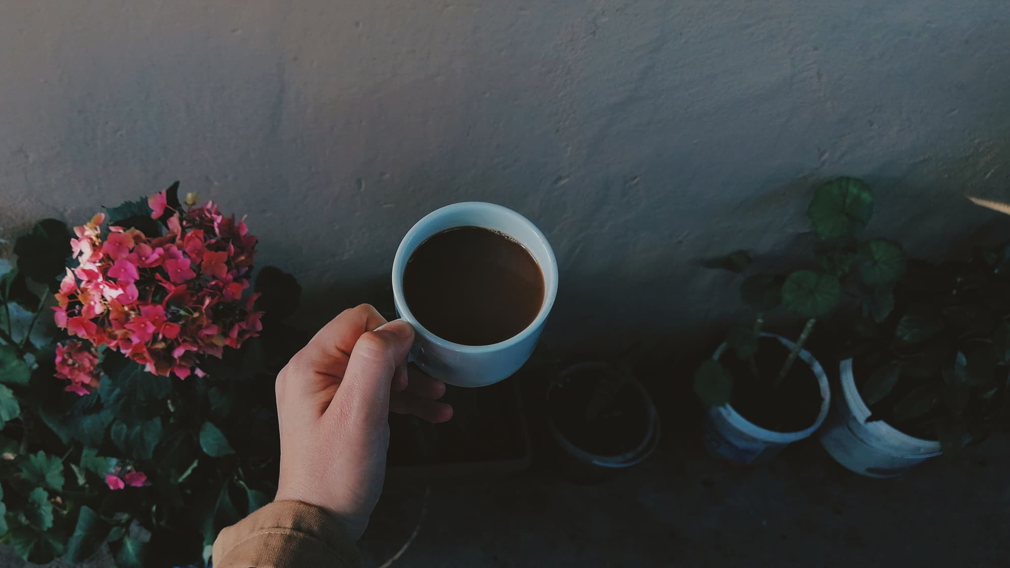 A hand holding a cup of coffee over a table crowded with potted flowers and plants