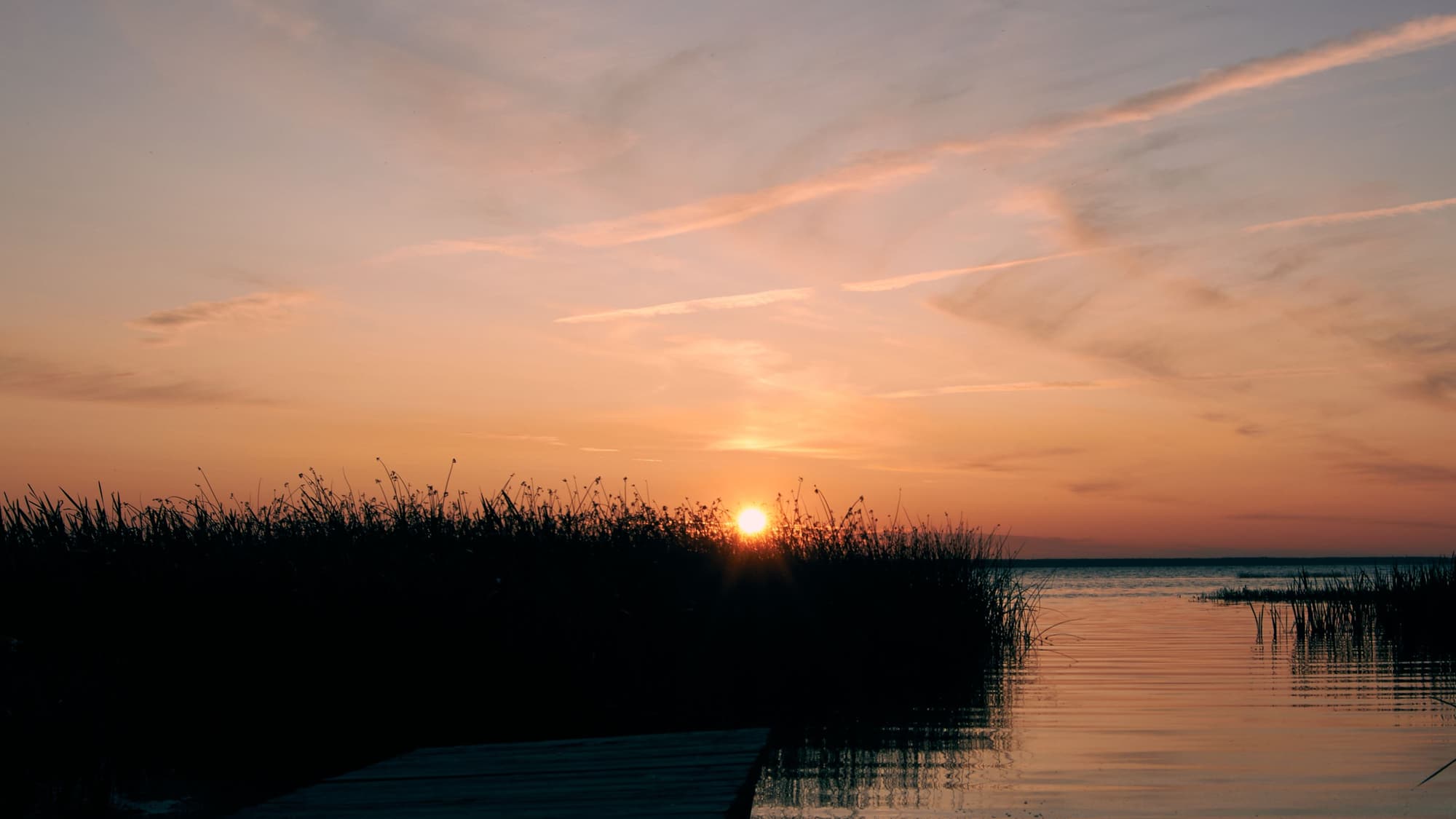 Silhouetted marsh grass at the edge of calm water as the sun sets low over the horizon