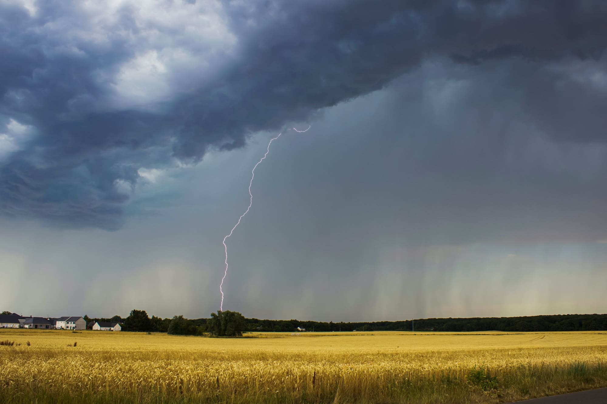 Dark storm clouds with a bolt of lightning over a flat golden field